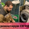 Исполнитель №66477, стаж 15 лет