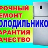 Исполнитель №66478, стаж 3 года