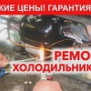 Исполнитель №66505, стаж 3 года