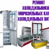 Исполнитель №67027, стаж 2 года