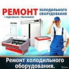 Исполнитель №67198, стаж 5 лет