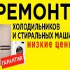 Исполнитель №67474, стаж 3 года
