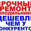 Исполнитель №67660, стаж 2 года