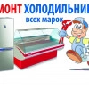Исполнитель №67692, стаж 10 лет
