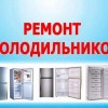 Исполнитель №68171, стаж 10 лет