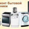 Исполнитель №68784, стаж 5 лет