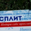 Исполнитель №69116, стаж 5 лет
