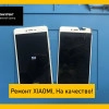Исполнитель №69725, стаж 20 лет