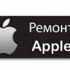 Исполнитель №69845, стаж менее 1 года