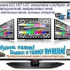 Исполнитель №69864, стаж 5 лет