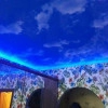 Исполнитель №72743, стаж менее 1 года