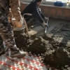 Исполнитель №73276, стаж 20 лет