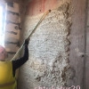 Исполнитель №73398, стаж 10 лет