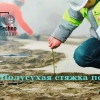 Исполнитель №73808, стаж 3 года