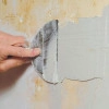 Исполнитель №75391, стаж 30 лет