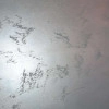 Исполнитель №75462, стаж 2 года
