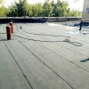 Исполнитель №77031, стаж 10 лет