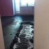 Исполнитель №77964, стаж менее 1 года