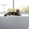 Исполнитель №78441, стаж 15 лет
