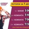Исполнитель №79815, стаж 5 лет