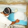 Исполнитель №80206, стаж 30 лет