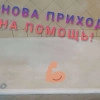 Исполнитель №80484, стаж более 30 лет