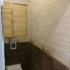 Исполнитель №80677, стаж 1 год
