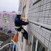 Исполнитель №81061, стаж 1 год