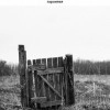 Исполнитель №81698, стаж 15 лет