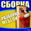 Исполнитель №87447, стаж менее 1 года