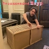 Исполнитель №88301, стаж 3 года