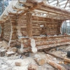 Исполнитель №89446, стаж 25 лет