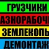 Исполнитель №89753, стаж 5 лет