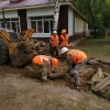 Исполнитель №90661, стаж 1 год