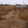 Исполнитель №92079, стаж 25 лет