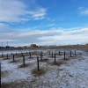 Исполнитель №92863, стаж 1 год