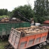 Исполнитель №93458, стаж 30 лет