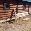 Исполнитель №96302, стаж 20 лет