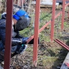 Исполнитель №96482, стаж 1 год