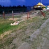 Исполнитель №97311, стаж 25 лет