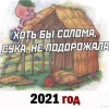 Исполнитель №98980, стаж 5 лет