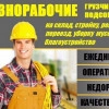 Исполнитель №99749, стаж 10 лет